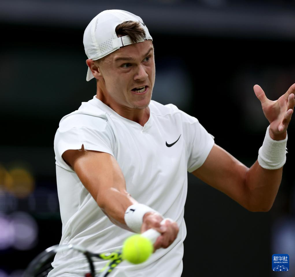 在网上发表 在网上发表